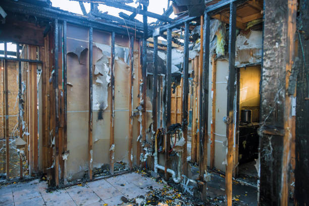Professional Fire Damage Removal technician working in Urbana, IA